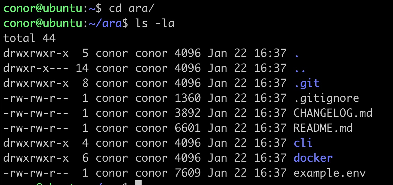 A screenshot of the terminal showing the output of 'ls -l' showing the contents of the ara directory
