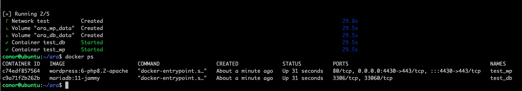 A screenshot of the terminal showing the output of 'docker ps' showing the status of the containers