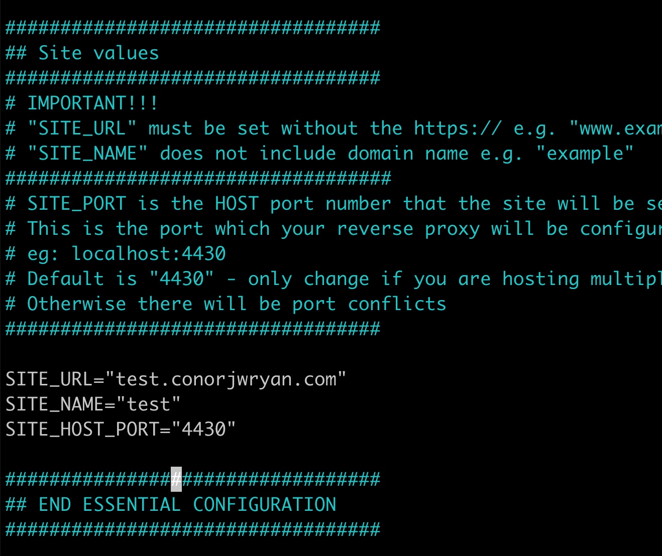 A screenshot of the terminal showing the output of 'nano .env' showing the contents of the .env file site configuration section